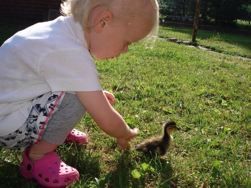 http://www.christinetenkate.nl/image//upload/images/header_fotos/Kind%20met%20kuiken.jpg